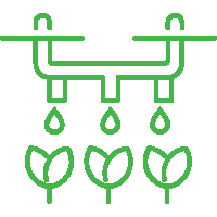 Description of the image