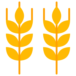 Description of the image